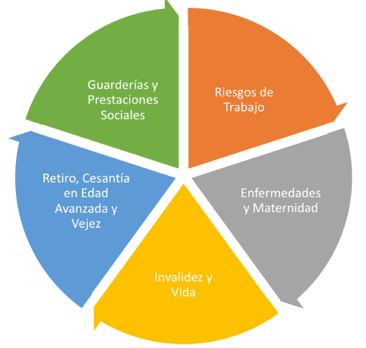 AF Ramas IMSS 1