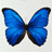 avatar marianis87